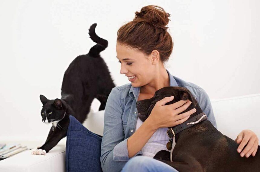 blog-4-1 10 Ways to Engage Your Dog Indoors